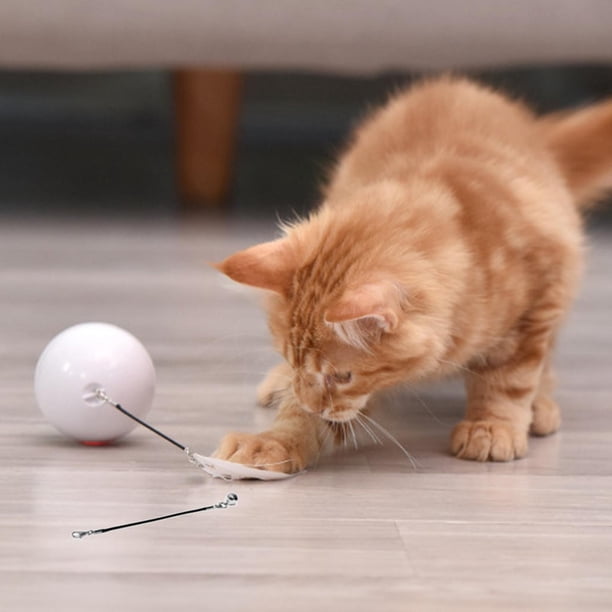 Juguetes para rodante USB recargable con campana LED automática para ejercicio interior Colco blanco Saltar pelota