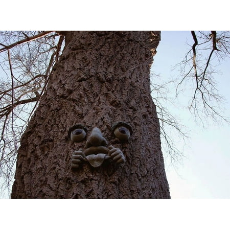 Laminated Poster Tree Face Ornament Branch Decoration