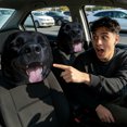 thumbnail image 4 of 2 Pack Funny Dog Car Headrest Covers Soft Polyester Stretch Seat Protector with Cartoon Print for Auto Interior Decoration 10.2 x 11.0 Inch, 4 of 4
