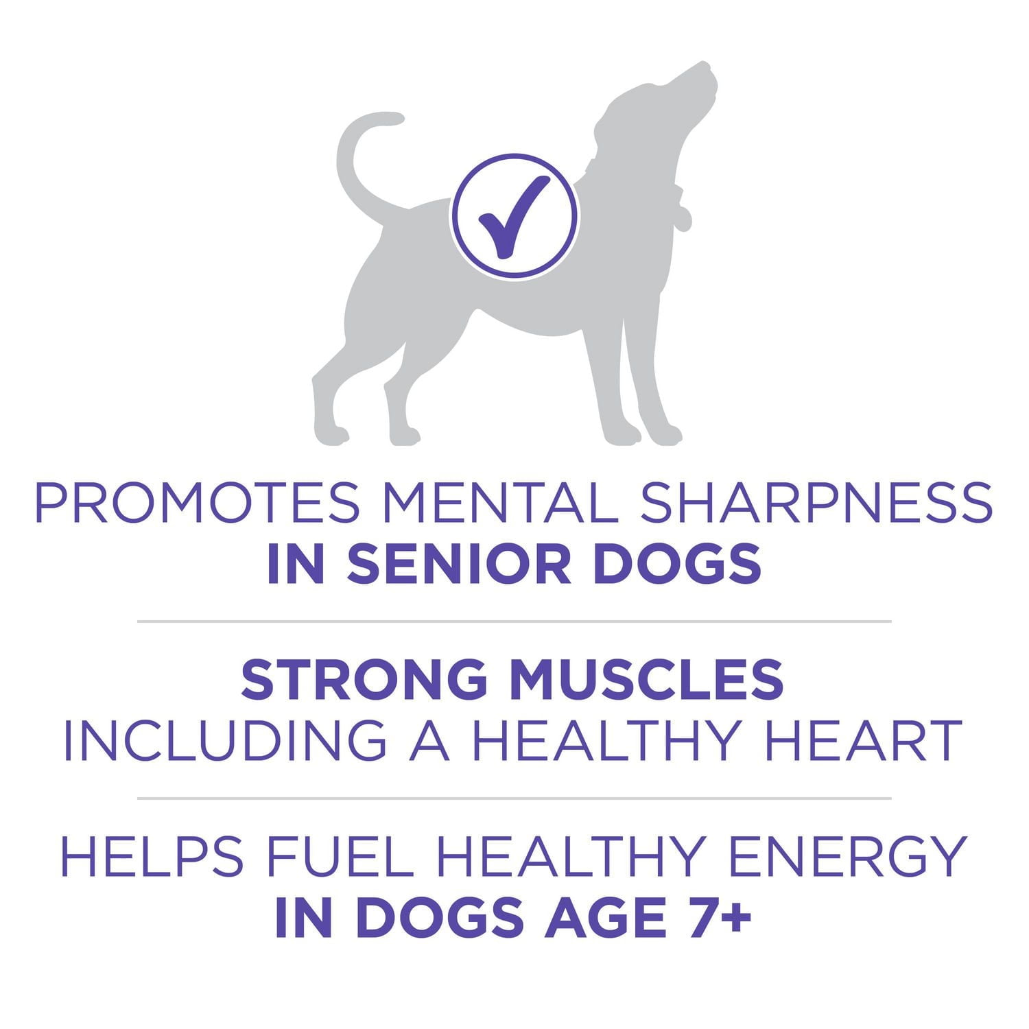 Purina ONE SmartBlend Healthy Aging 7+ Formula Chicken, Dry Dog Food 6kg