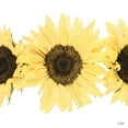 thumbnail image 2 of Quillen, Donnie 20x20 Gold Ornate Wood Framed with Double Matting Museum Art Print Titled - Sunflowers in a Row I, 2 of 4