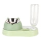 thumbnail image 1 of Cuencos para platos con soporte elevado Principio de sifón 4 en 1 Acero inoxidable desmontable Prevenir malestar Alimentador de alimentos para mascotas para gatos Perros Verde, 1 of 5