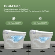 Horow Smart Toilet with Heated Seat, Automatic Power Flush Tankless,Ceramic One Piece Toilets no bidet