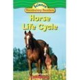 thumbnail image 1 of Pre-Owned Horse Life Cycle (Paperback) 0439876559 9780439876551, 1 of 1