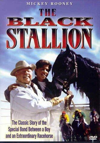MGM - The Black Stallion [DIGITAL VIDEO DISC] - Walmart.com