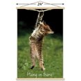 thumbnail image 3 of Famous Kitten Hang In There Poster Wall Poster, 22.375" x 34", 3 of 5