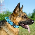 thumbnail image 3 of Pet Artist Tactical Dog Collar Military Heavy Duty Pet Collars With Metal Buckle and Handle, 3 of 6
