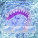 thumbnail image 4 of Limpiador UV ultrasónico para el hogar, Kit de limpieza pulsante para baño de dentaduras postizas, para joyería, retenedor alineador de dentadura postiza, 4 of 5