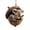 E, variant on PPKVUFD 1Pcs Forest Christmas Ornaments with Sleeping Animals in Acorns, 3.14 Inch Woodland Animal Decor for Christmas Tree, Nature Themed Holiday Decor for Tree Garland Wreath and Tabletop Display