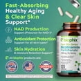 thumbnail image 2 of Biophix B3 Nicotinamide & B5 Pantothenic Acid 1350 mg - Flush-Free Niacin for Skin Health, 120 Vcaps, 2 of 9