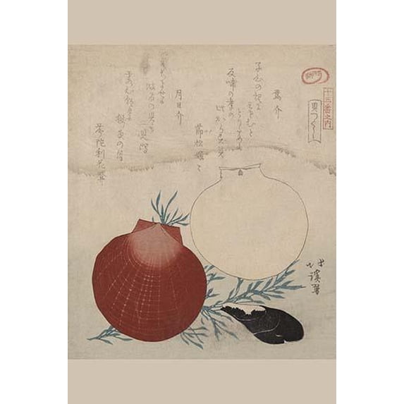 Shellfish- Fine Art Canvas Print (20" x 30")