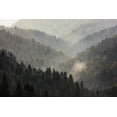 thumbnail image 2 of Grall, Don 18x13 Black Ornate Wood Framed with Double Matting Museum Art Print Titled - TN, Great Smoky Mts Mist rises in a valley, 2 of 4
