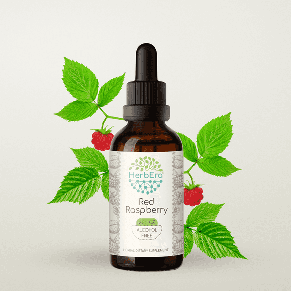 HerbEra Red Raspberry Tincture, Herbal Dietary Supplement for Women’s Health Support, Red Raspberry (Rubus idaeus) Dried Leaf Extract, Natural, Alcohol-Free, Drops 2 oz