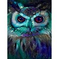 thumbnail image 1 of Kits de pintura de diamante DIY de búho azul, taladro cuadrado completo, decoración de pared para el hogar, arte artesanal Sywqhk Decoración hogareña, 1 of 9