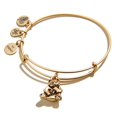thumbnail image 2 of Alex and Ani Bracelet Extensible pour Femme avec Guide Animal Charme Panda, Finition Or Rafaélien, 2 à 3,5 Pouces, 2 of 2