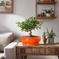 thumbnail image 2 of Succulent Bowl Planter 8 inch, Shallow Ceramic Pot with Drainage, Boho Shelf Decor for Indoor Greenery, Orange, 2 of 8