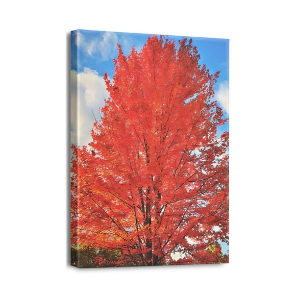 12x16 Impressions de Paysage d'Arbres Modernes - Uvres d'Art Dessinées pour Décorations Murales dans Chambres, Bureaux, Cuisines - Expérience Esthétique de la Nature