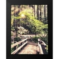 thumbnail image 2 of Amos, Andy 15x18 Black Modern Framed Museum Art Print Titled - Sunlight on the Forest Path, 2 of 5