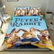 thumbnail image 1 of Peter Rabbit Conjunto de sábanas temático, trío de piezas, cómodo y amigable con la piel, diseño único, regalo de decoración para el hogar para familiares, amigos y fans,140cm *210cm, 1 of 6