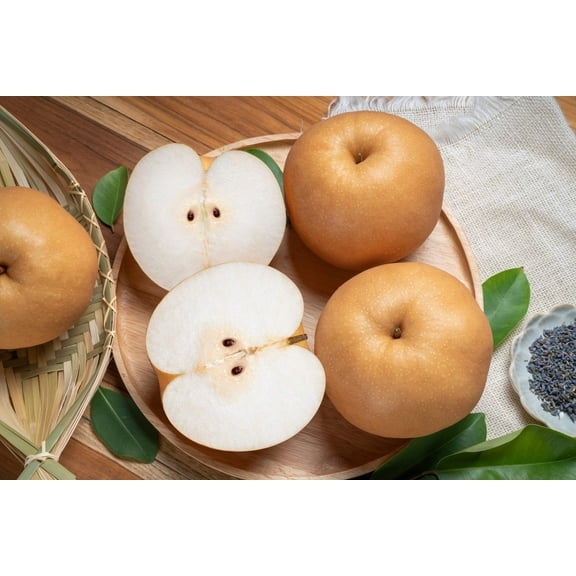 20 *Seeds ASIAN PEAR TREE Pyrus Pyrifolia Oriental Japanese Fruit Seeds