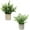 2 Green, variant on Mini Potted Plants Artificial Eucalyptus Boxwood Rosemary Faux Herbs Small House Plants 8.3"-9" Tall for Indoor Greenery Tabletop Décor Centerpiece (Sprayed Eucalyptus)