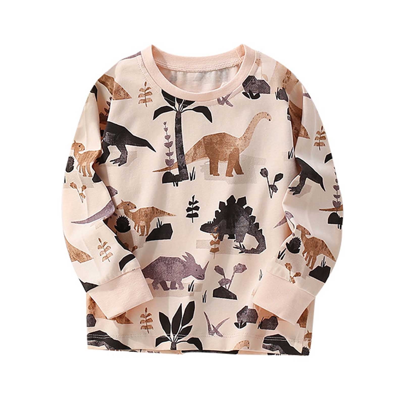Kiijoy Big Boys Long Sleeve Cotton T-Shirt Dinosaur Casual Crewneck T Shirt Sizes 10-11