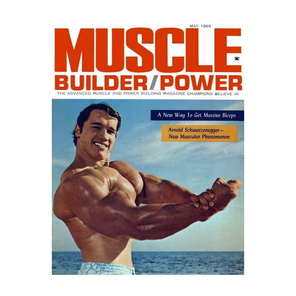 Arnold Schwarzenegger Poster 24In x 36In Art Poster 24x36 Multi-Color Square Adults Best Posters