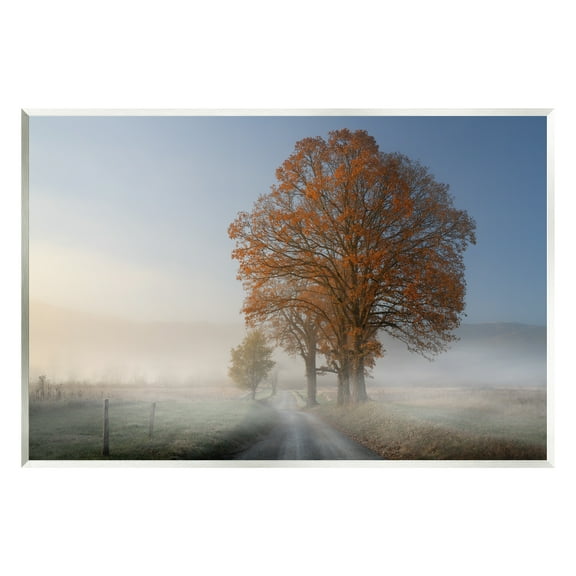 Stupell Foggy Road Sycamore Tree Landscape Photography Wall Plaque Unframed Art Print Wall Art