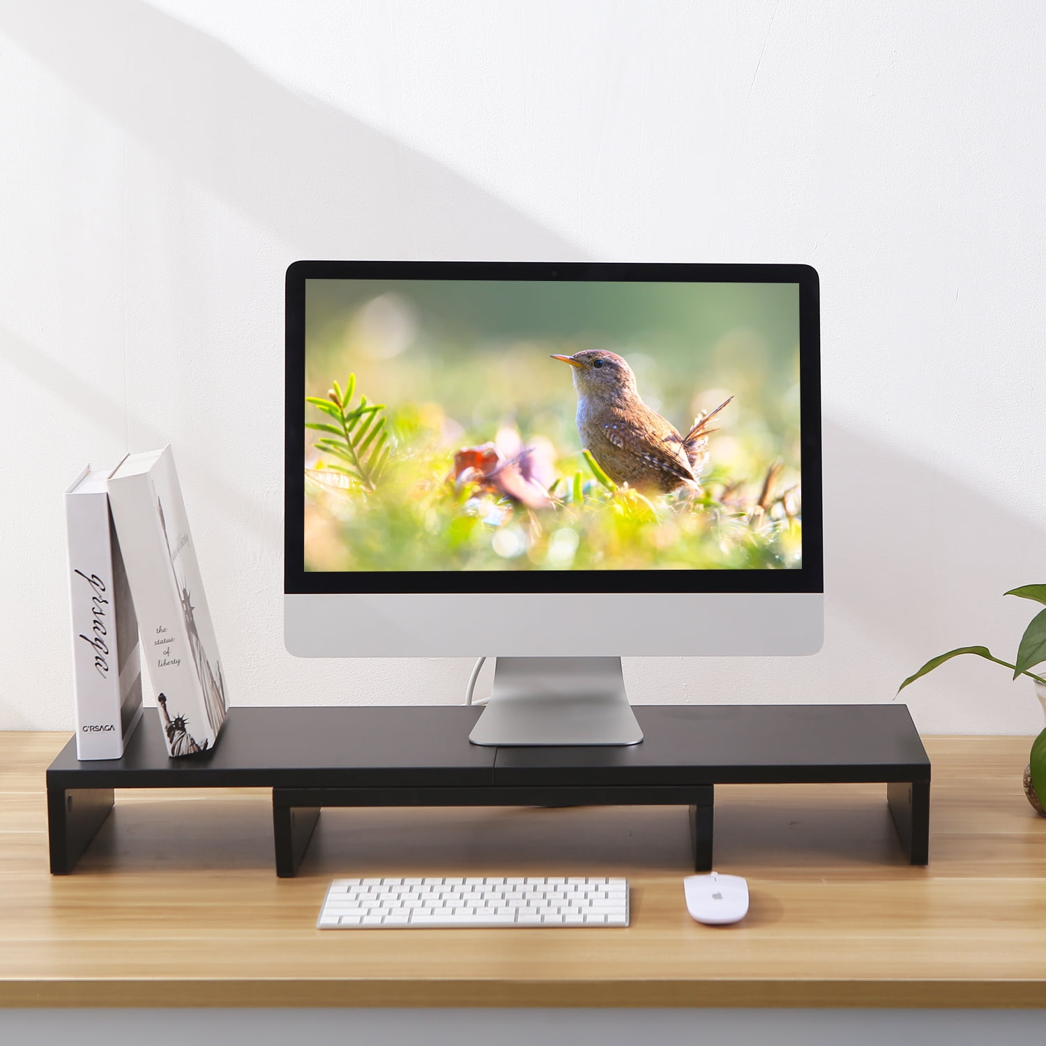 RTVR Dual Monitor Stand Riser Office Desktop Organizer Stand for 2 Monitors, Adjustable Length & Angle 3 Shelf Extra Long for TV Computer Laptop Black