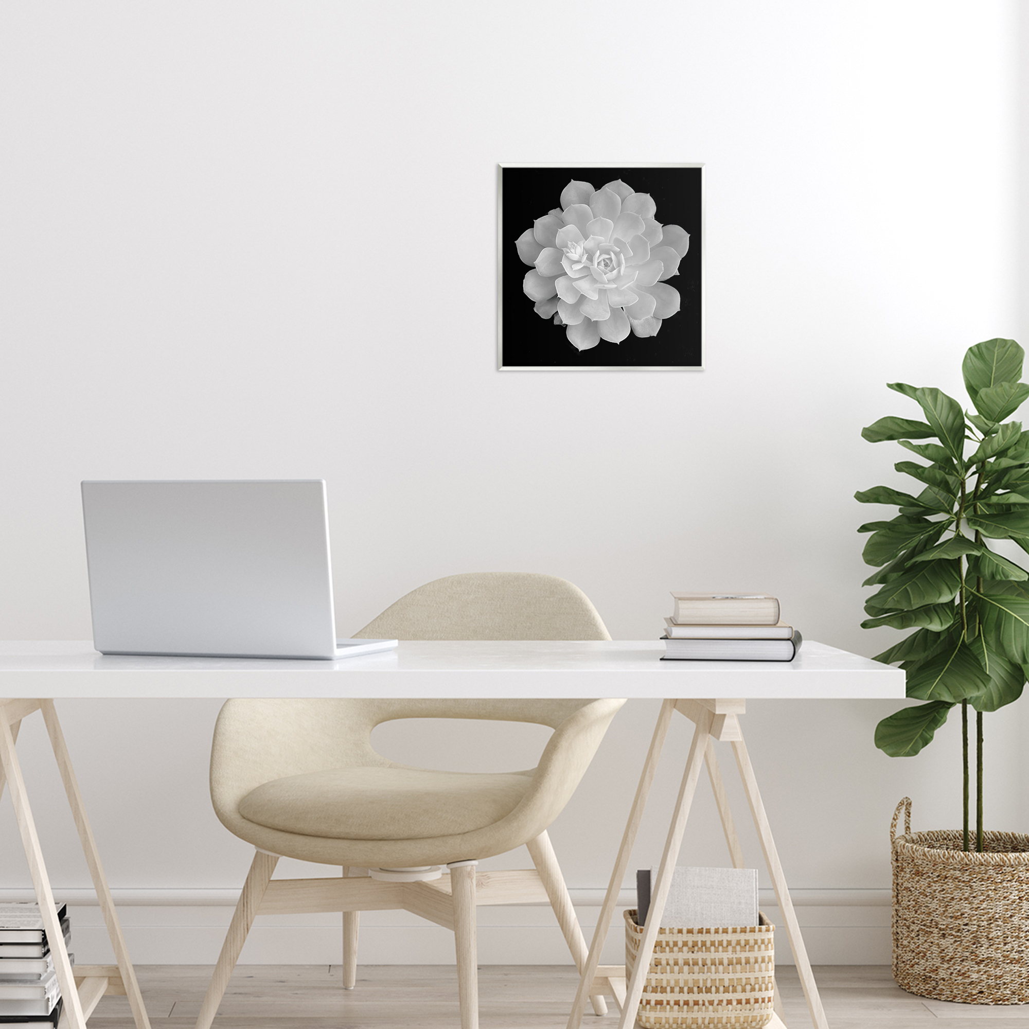 Pure White Succulent Contrast Wall Plaque Art, design by Phillip Flowers
