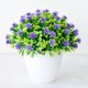 thumbnail image 5 of Gwong Decoración hogareña PLANTAS DE SIMULACIÓN Potted Hermoso Bonsai artificial realista de plástico realista para el hogar Gwong 21056707, 5 of 6