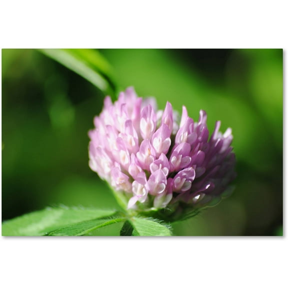 Trademark Fine Art "Vindictive Lust" Canvas Art by Monica Mize