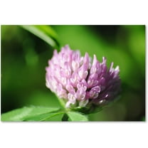 Trademark Fine Art "Vindictive Lust" Canvas Art by Monica Mize