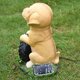 thumbnail image 5 of Lámparas solares con forma de perro, adornos de jardín para exteriores, esculturas de animales con energía solar, estatuas de jardín, luz decorativa para patio, césped y jardín., 5 of 5