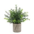 thumbnail image 2 of 1PC Artificial Potted Plants, Realistic Faux Greenery in Cement Pots for Home Office Desk Bookshelf Decor, Small Fake Plants for Indoor Tabletop Decoration, 2 of 9