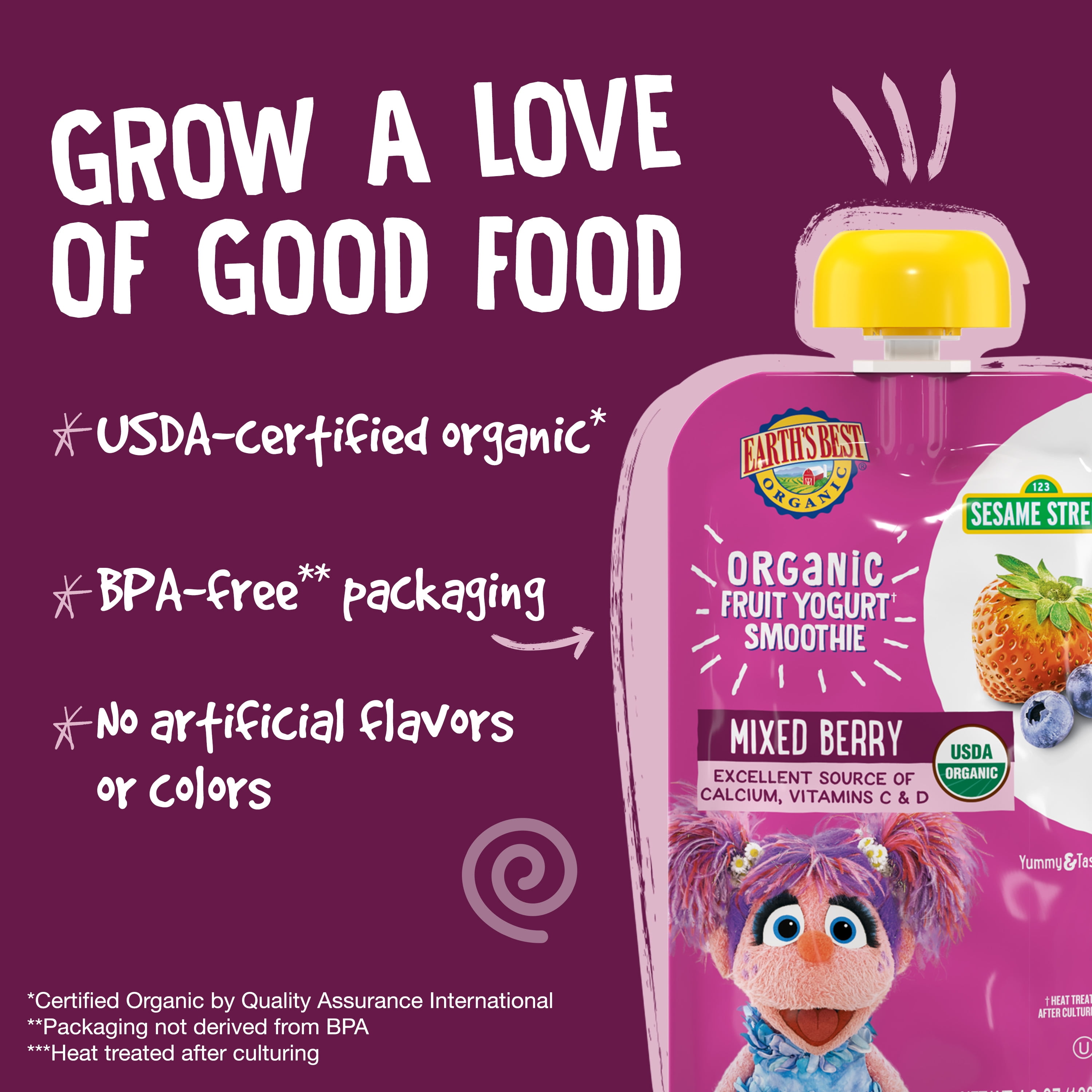 (12 pack) Earth's Best Organic Fruit Yogurt Smoothie Toddler Food, Mixed Berry, 4.2 oz Pouch
