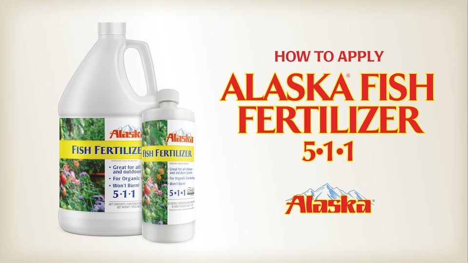 alaska fish fertilizer for seedlings alaska fish fertilizer for seedlings