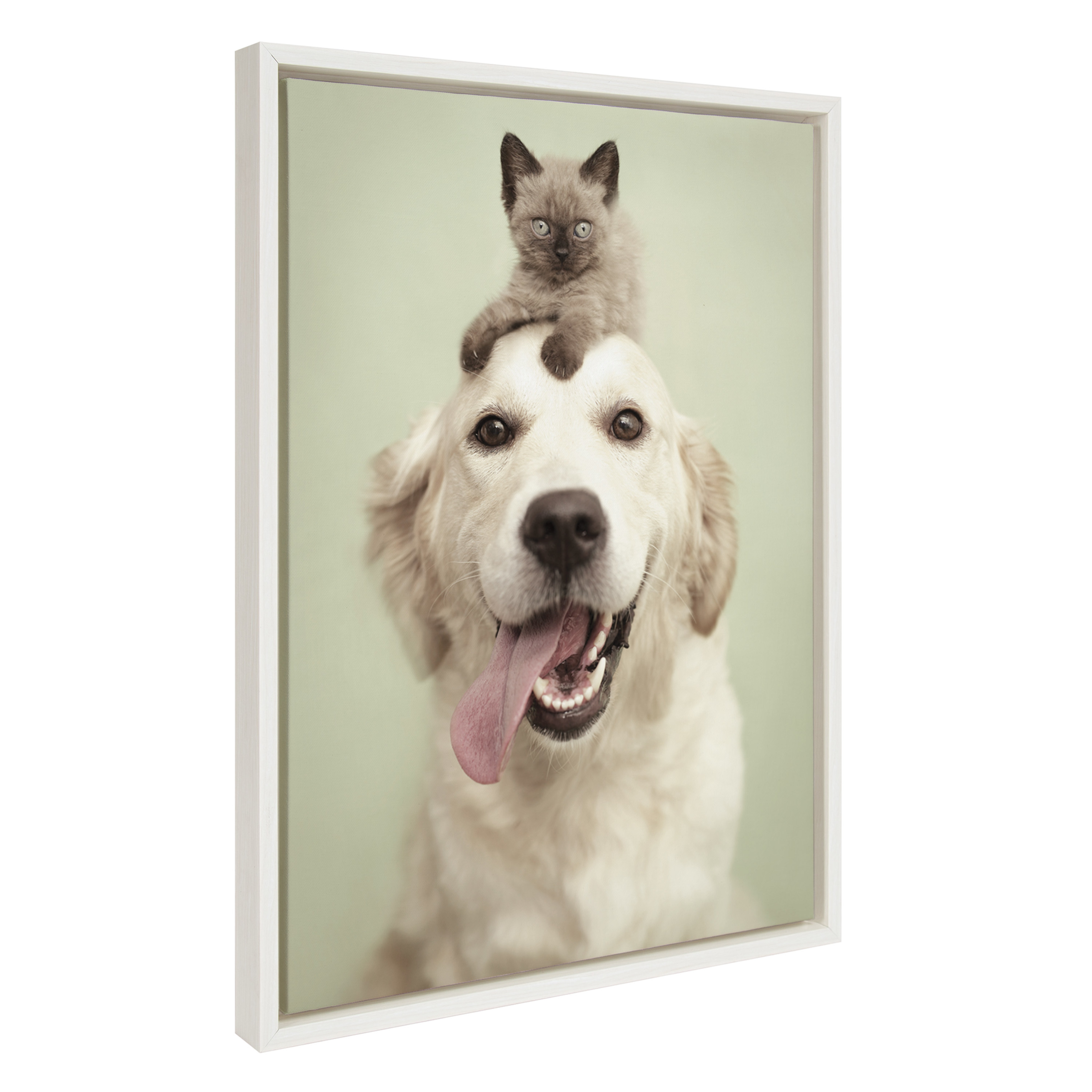 DesignOvation Sylvie Kara and Cuba Framed Canvas Wall Art by Rachael Hale, 18x24 White