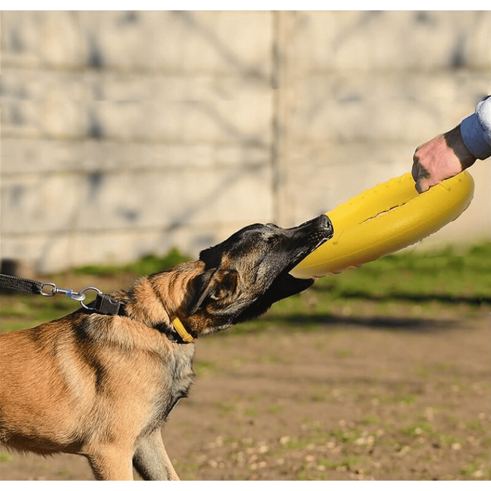 Small Dog Fitness Ring Dog Bite Ring Dog Training Ring Pet Dog Game Agility Exercise Equipment