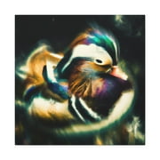 Mandarin Duck Expressionism - Canvas
