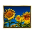 thumbnail image 3 of Stupell Industries Bold Sunflower Plants Against Clear Sunny Sky Photograph Metallic Gold Floating Framed Canvas Print Wall Art, Design by Steve Smith, 3 of 5