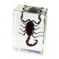 thumbnail image 1 of Poids du Papier Petit Scorpion Noir, 1 of 1