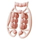thumbnail image 3 of Rodillo de masaje Zulema 18 Rueda Fascia Manual Rosa, 3 of 8