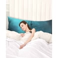 thumbnail image 2 of Ocean Shipwrecks Body Pillow Case Cover - Microfiber Bed Throw Pillow Covers, Coastal Nautical Dolphins Vintage Decorative Lumbar Pillow Cover with Envelope Closure for Sofa/Travel 20"x54", 2 of 6