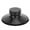 Black, variant on Rupoun Premium Vinyl Record Weight Stabilizer for LP Turntables, Aluminium Alloy Disc Clamp with High Precision, Vibration Dampening Audio Accessory, Silver Finish, 3.1 inches / 78.7 mm Diameter