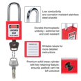 thumbnail image 3 of Lockout Tagout Station with 10 Keyed Different Safety Padlocks 2 Hasps and 10 Lockout Tags, Iron Locks Rack, 3 of 5