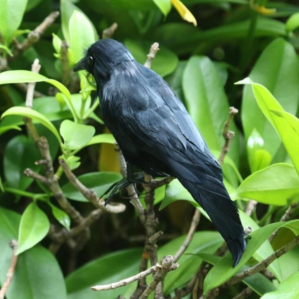 2 Corbeaux Décoratifs Halloween - Grands Oiseaux Noirs à Plumes Pour Jardin Ou Intérieur