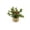 C, variant on Pnmtdaia Artificial Mini Pine Potted Plant with Red Berries Handwoven Rattan Basket Base Fake Evergreen Small Tabletop Greenery for Christmas Winter Holiday Home Shelf Window Decor