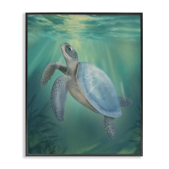 Stupell Industries Coastal Beach Sea Turtle Black Framed Giclee Art, design by Matthew Piotrowicz