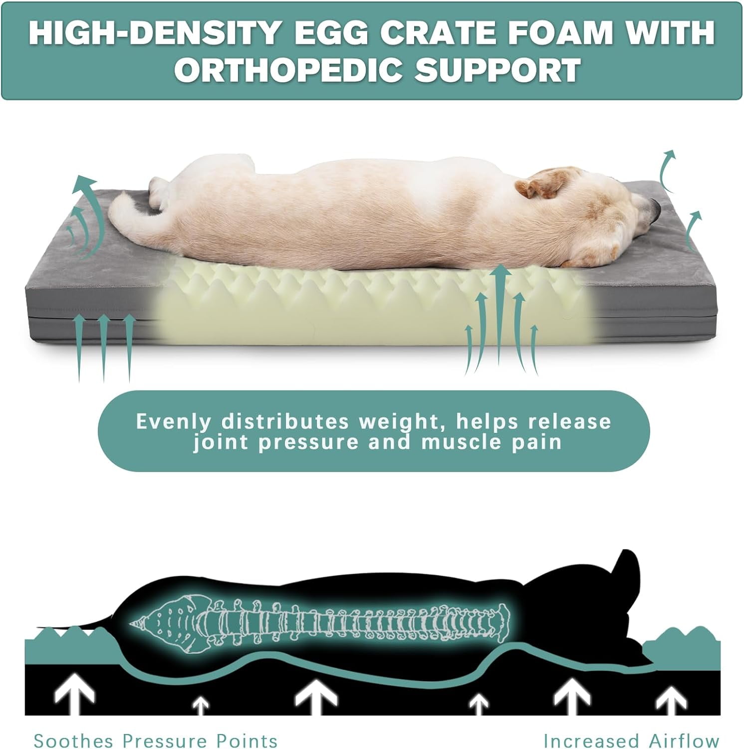 Behome 48Inch Orthopedic Dog Bed for Large Dogs, Supportive Egg Foam Pet Bed with Removable & Washable Cover, Waterproof Lining & Bite Resistant, Two Types of Fabrics(Gray)